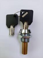 Личинка и ключ D8