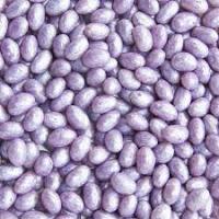 Черная жемчужина