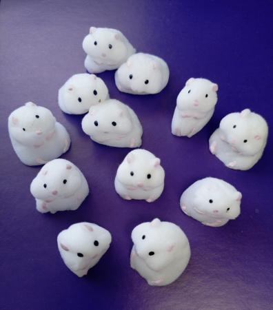 Хомяки белые